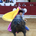 Saint Vincent de Tyrosse (Francia) - Desafío ganadero - Domingo 22 de julio de 2018