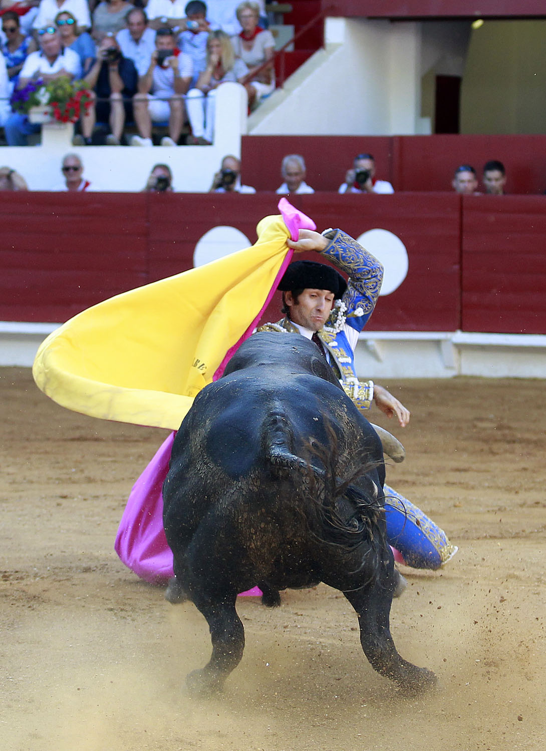 Saint Vincent de Tyrosse (Francia) - Desafío ganadero - Domingo 22 de julio de 2018