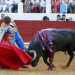 Saint Vincent de Tyrosse (Francia) - Desafío ganadero - Domingo 22 de julio de 2018