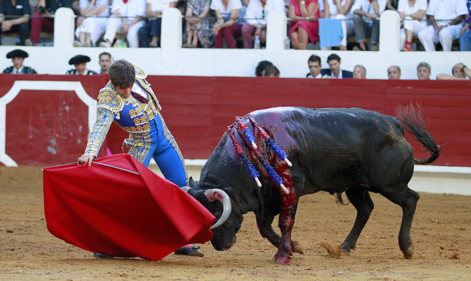 Saint Vincent de Tyrosse (Francia) - Desafío ganadero - Domingo 22 de julio de 2018