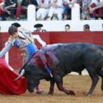 Saint Vincent de Tyrosse (Francia) - Desafío ganadero - Domingo 22 de julio de 2018