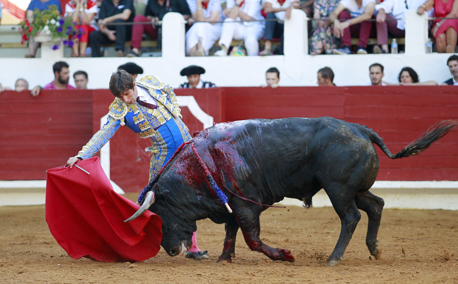 Saint Vincent de Tyrosse (Francia) - Desafío ganadero - Domingo 22 de julio de 2018