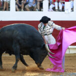 Saint Vincent de Tyrosse (Francia) - Desafío ganadero - Domingo 22 de julio de 2018