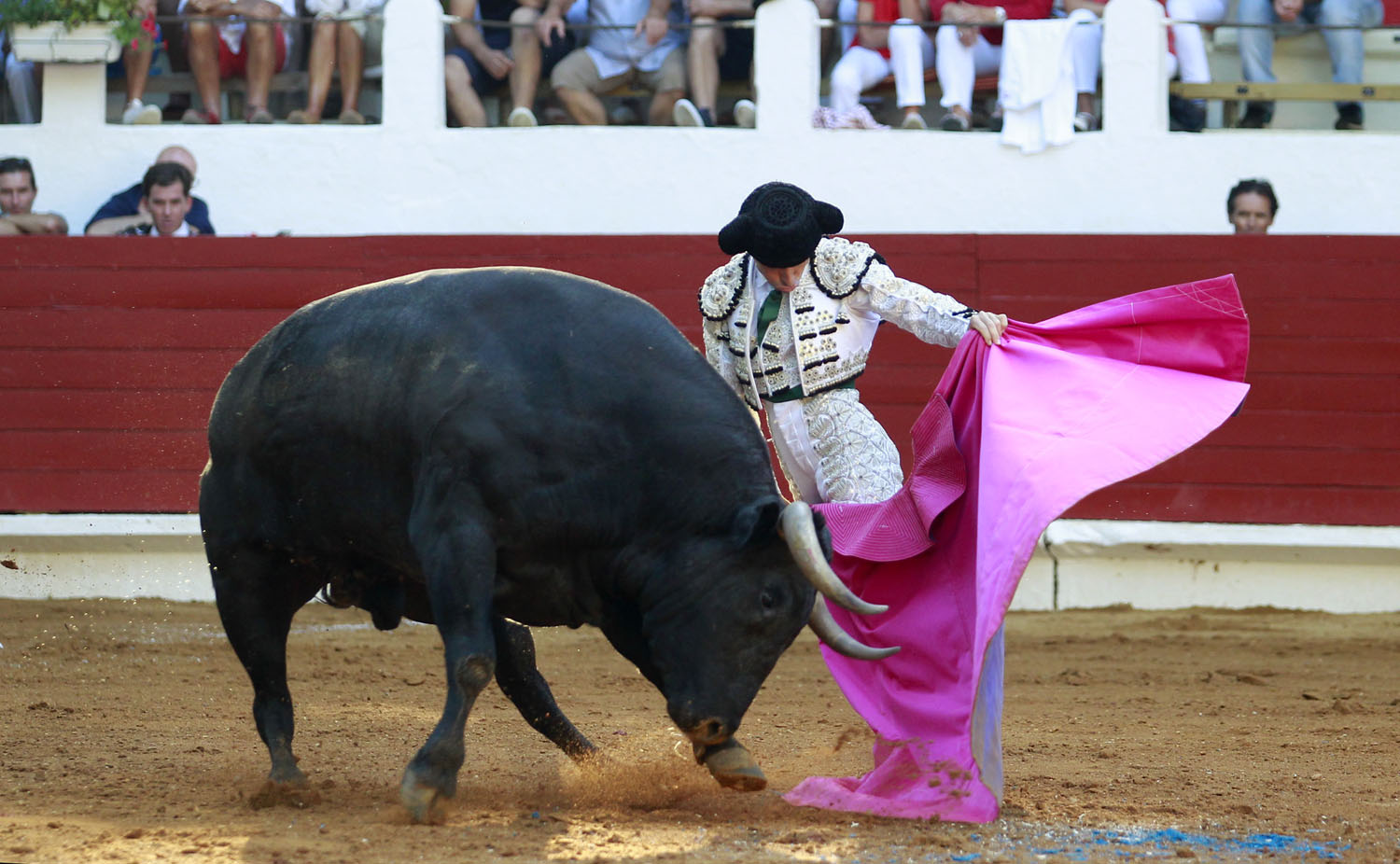 Saint Vincent de Tyrosse (Francia) - Desafío ganadero - Domingo 22 de julio de 2018
