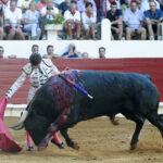 Saint Vincent de Tyrosse (Francia) - Desafío ganadero - Domingo 22 de julio de 2018