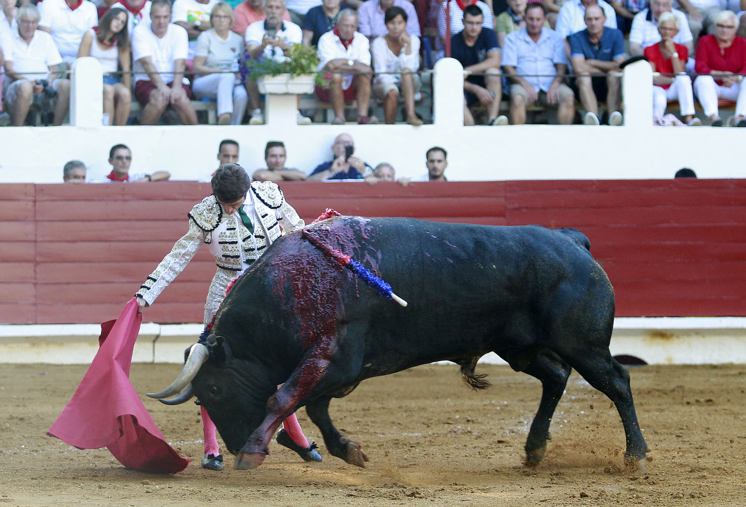 Saint Vincent de Tyrosse (Francia) - Desafío ganadero - Domingo 22 de julio de 2018