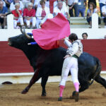 Saint Vincent de Tyrosse (Francia) - Desafío ganadero - Domingo 22 de julio de 2018