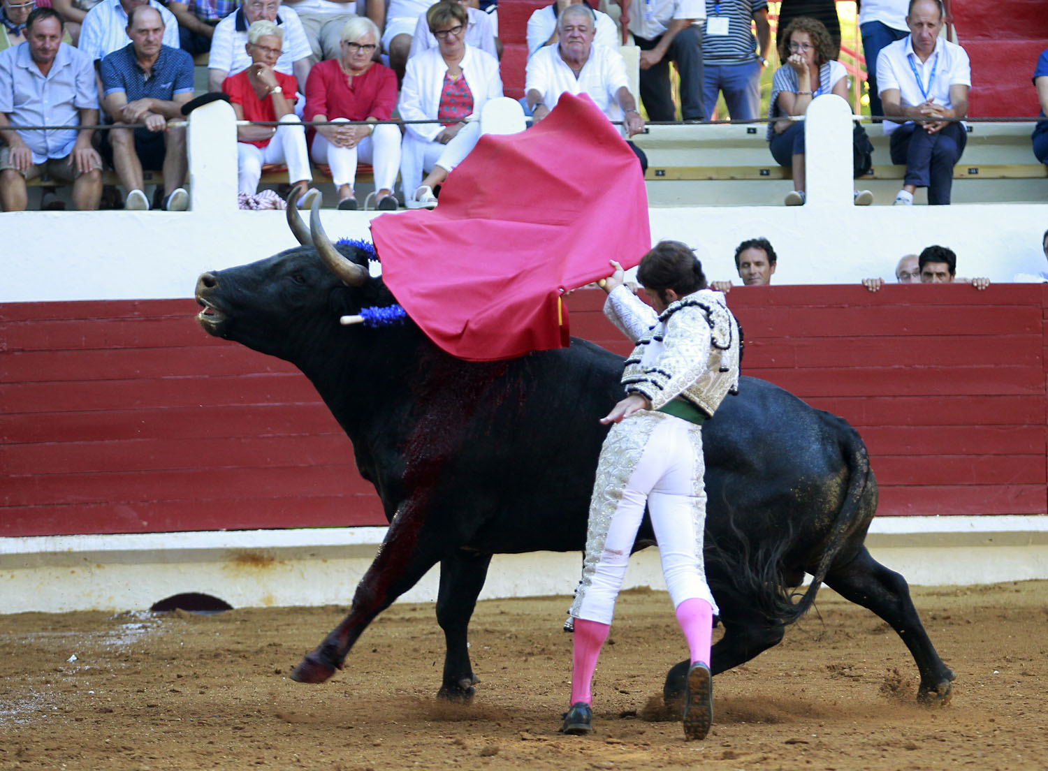 Saint Vincent de Tyrosse (Francia) - Desafío ganadero - Domingo 22 de julio de 2018