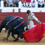 Saint Vincent de Tyrosse (Francia) - Desafío ganadero - Domingo 22 de julio de 2018