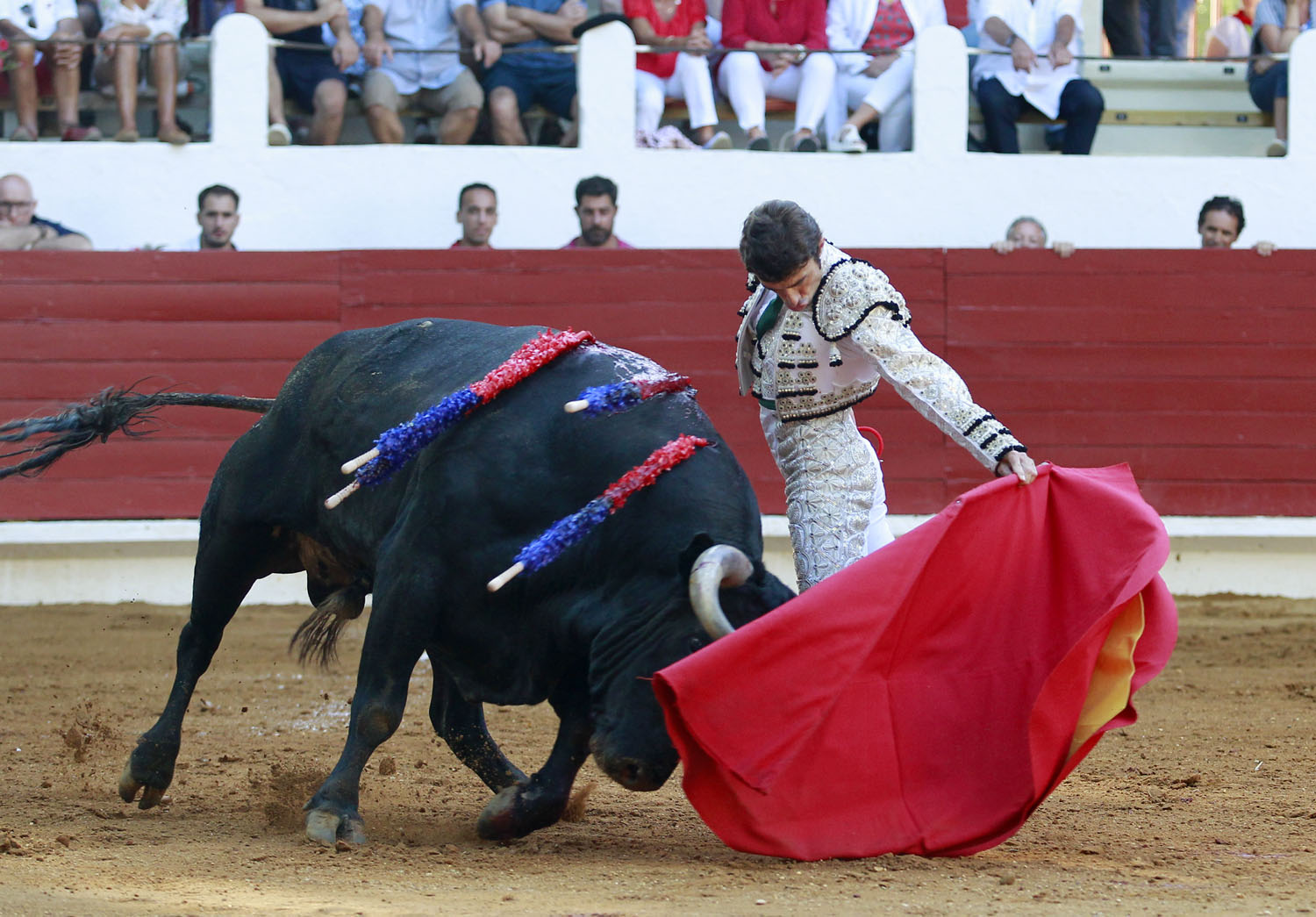 Saint Vincent de Tyrosse (Francia) - Desafío ganadero - Domingo 22 de julio de 2018