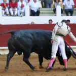 Saint Vincent de Tyrosse (Francia) - Desafío ganadero - Domingo 22 de julio de 2018