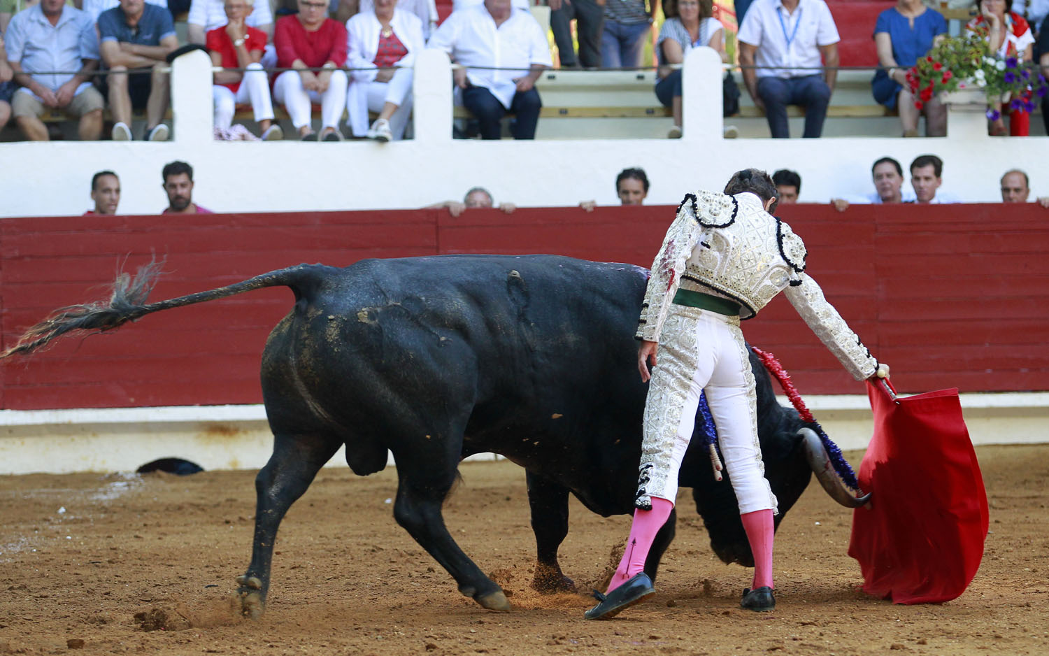 Saint Vincent de Tyrosse (Francia) - Desafío ganadero - Domingo 22 de julio de 2018