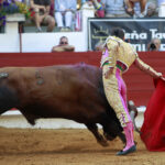 Saint Vincent de Tyrosse (Francia) - Desafío ganadero - Domingo 22 de julio de 2018