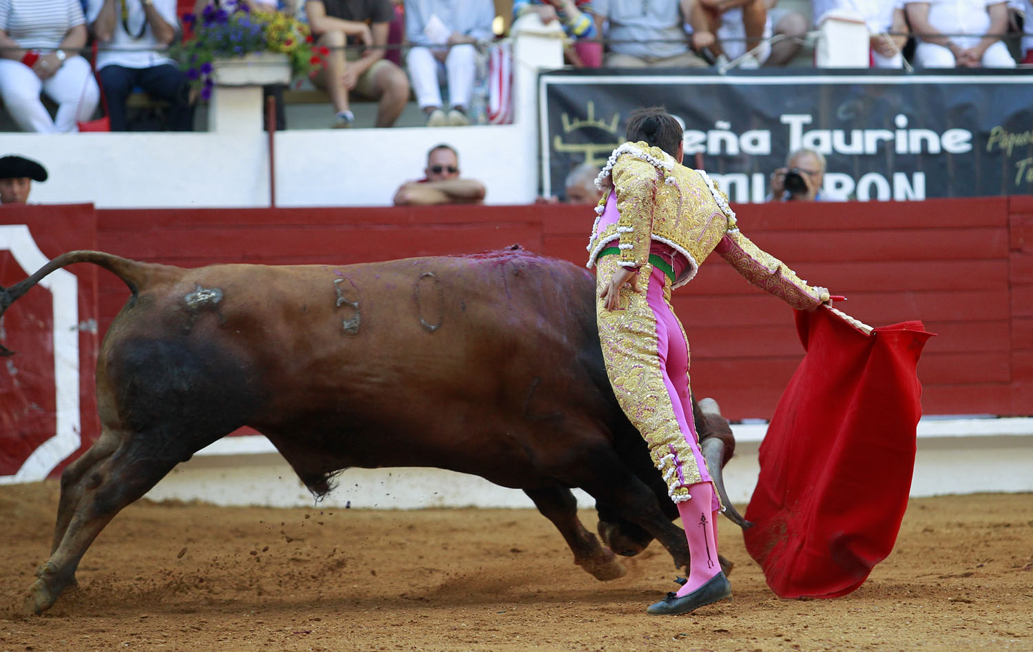 Saint Vincent de Tyrosse (Francia) - Desafío ganadero - Domingo 22 de julio de 2018