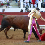 Saint Vincent de Tyrosse (Francia) - Desafío ganadero - Domingo 22 de julio de 2018