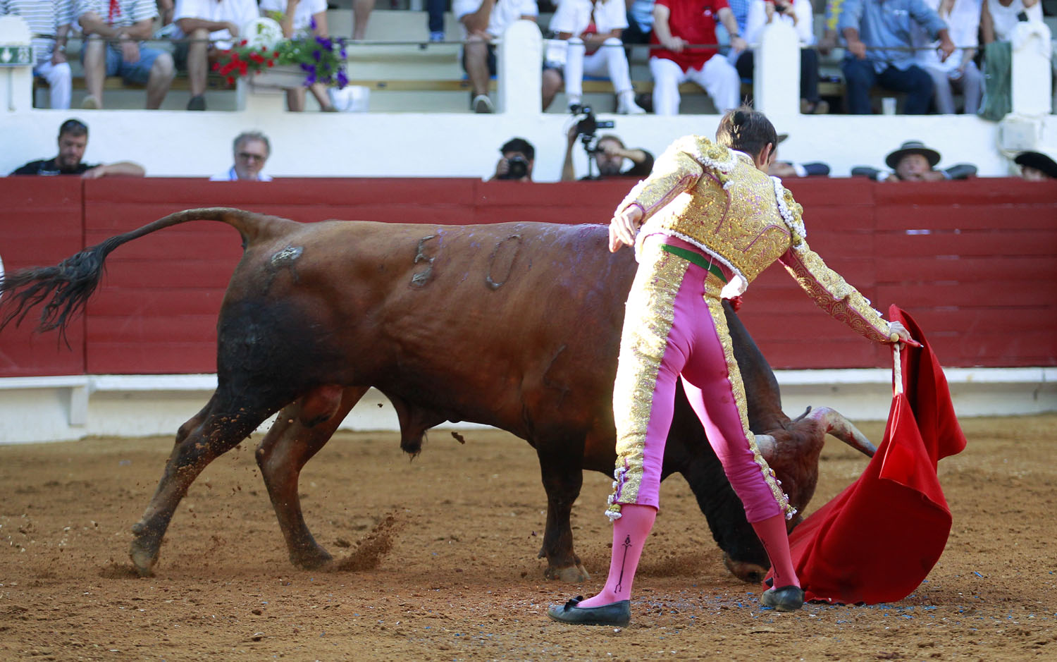 Saint Vincent de Tyrosse (Francia) - Desafío ganadero - Domingo 22 de julio de 2018