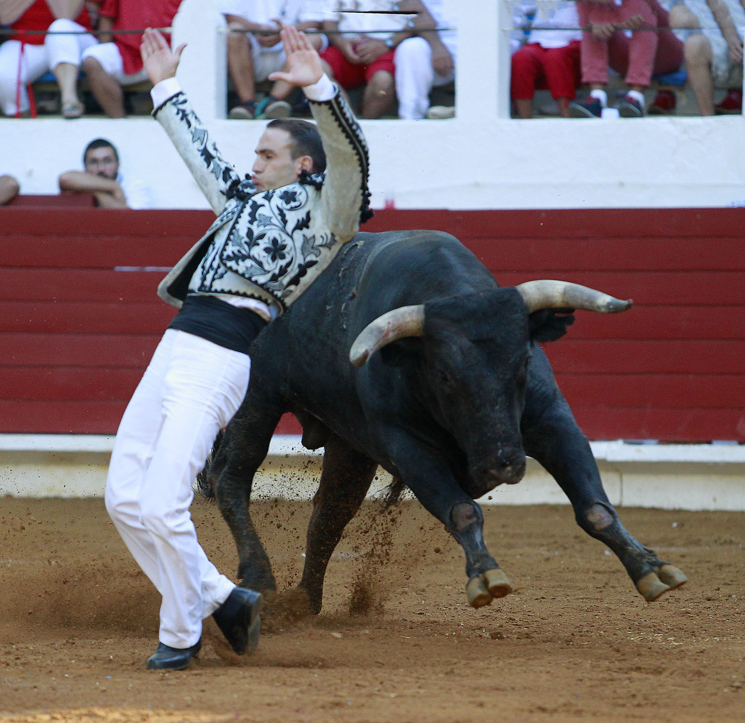 Saint Vincent de Tyrosse (Francia) - Desafío ganadero - Domingo 22 de julio de 2018