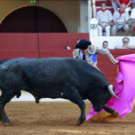Saint Vincent de Tyrosse (Francia) - Desafío ganadero - Domingo 22 de julio de 2018