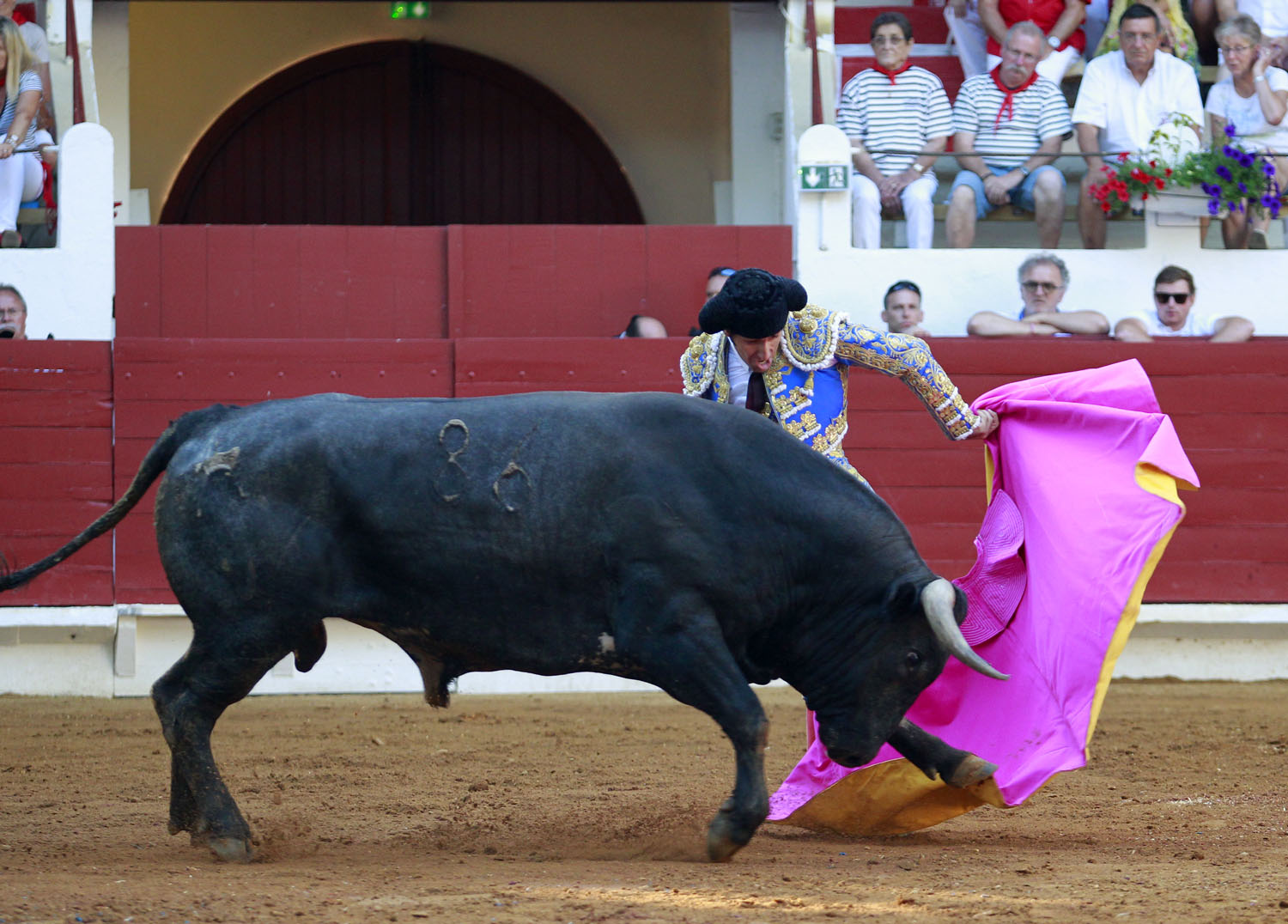 Saint Vincent de Tyrosse (Francia) - Desafío ganadero - Domingo 22 de julio de 2018
