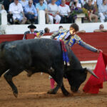 Saint Vincent de Tyrosse (Francia) - Desafío ganadero - Domingo 22 de julio de 2018