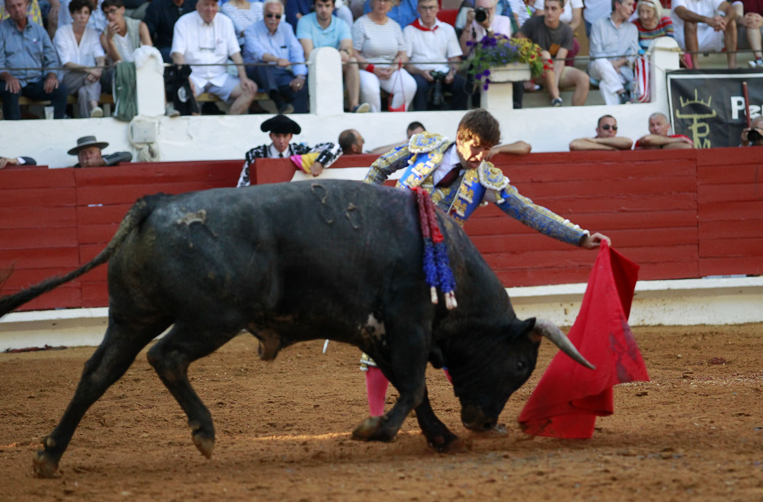 Saint Vincent de Tyrosse (Francia) - Desafío ganadero - Domingo 22 de julio de 2018