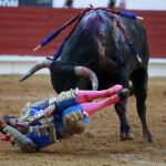 Saint Vincent de Tyrosse (Francia) - Desafío ganadero - Domingo 22 de julio de 2018