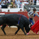 Saint Vincent de Tyrosse (Francia) - Desafío ganadero - Domingo 22 de julio de 2018