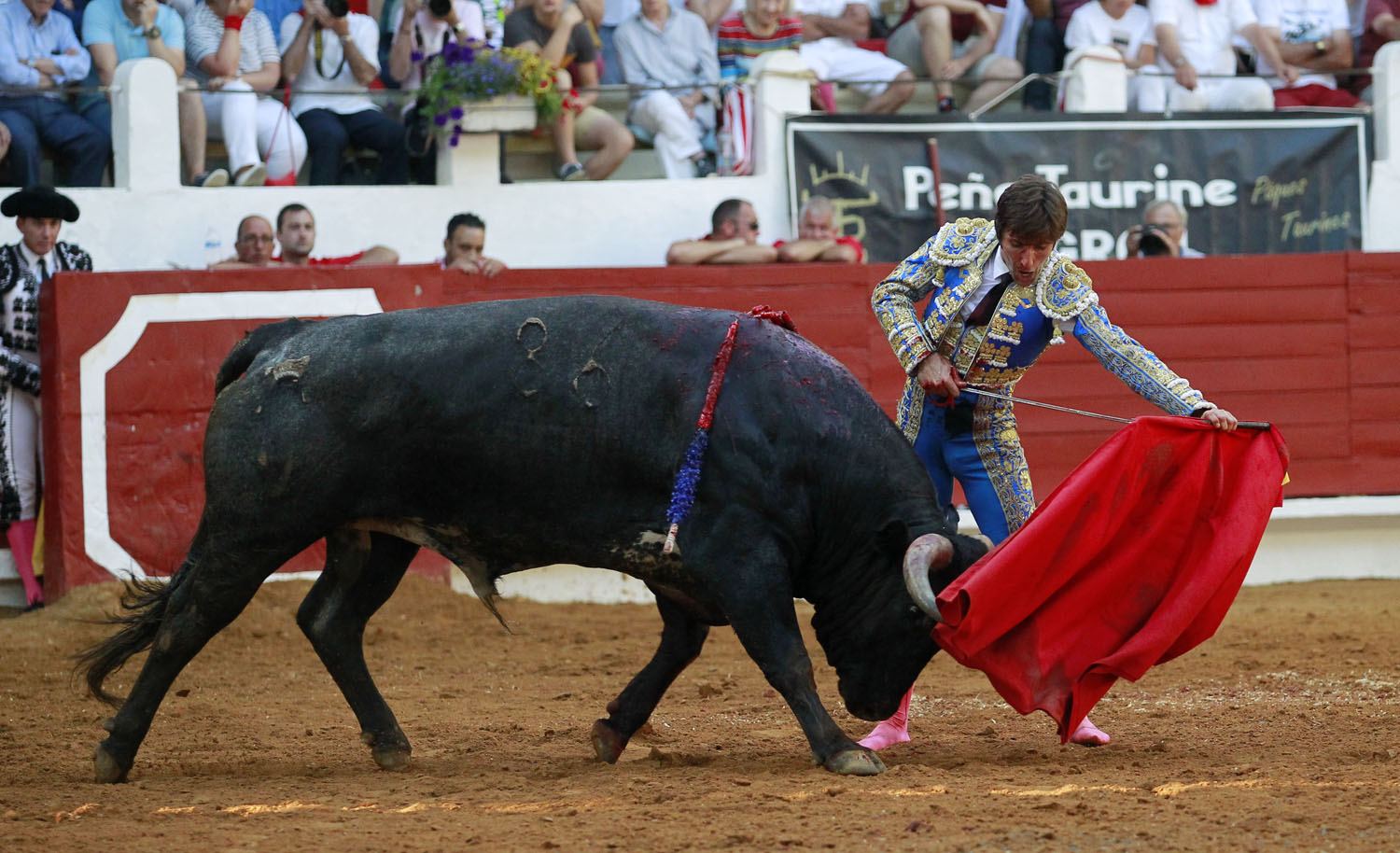 Saint Vincent de Tyrosse (Francia) - Desafío ganadero - Domingo 22 de julio de 2018