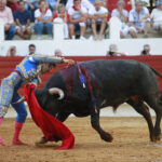 Saint Vincent de Tyrosse (Francia) - Desafío ganadero - Domingo 22 de julio de 2018