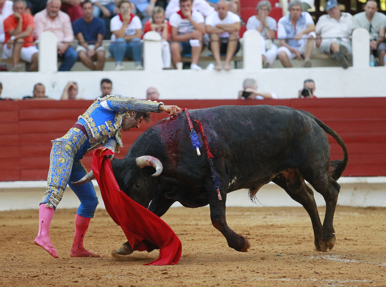 Saint Vincent de Tyrosse (Francia) - Desafío ganadero - Domingo 22 de julio de 2018