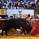 Mont de Marsan - Corrida de toros - Domingo 22 de julio de 2018
