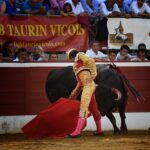 Mont de Marsan - Corrida de toros - Domingo 22 de julio de 2018