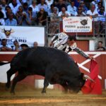 Mont de Marsan - Corrida de toros - Domingo 22 de julio de 2018