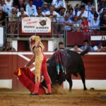 Mont de Marsan - Corrida de toros - Domingo 22 de julio de 2018