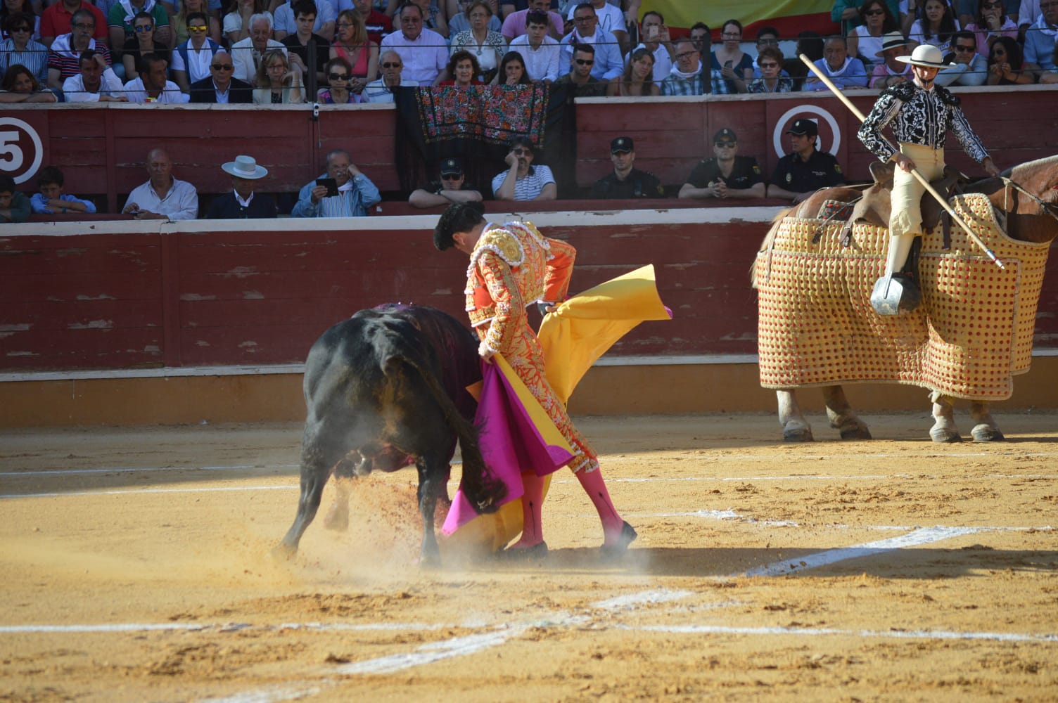 Soria - Corrida de toros - Domingo 1 de julio de 2018