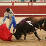 Arévalo, 14 de julio de 2018