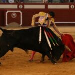 Arévalo, 14 de julio de 2018