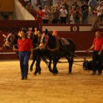 Arévalo, 14 de julio de 2018