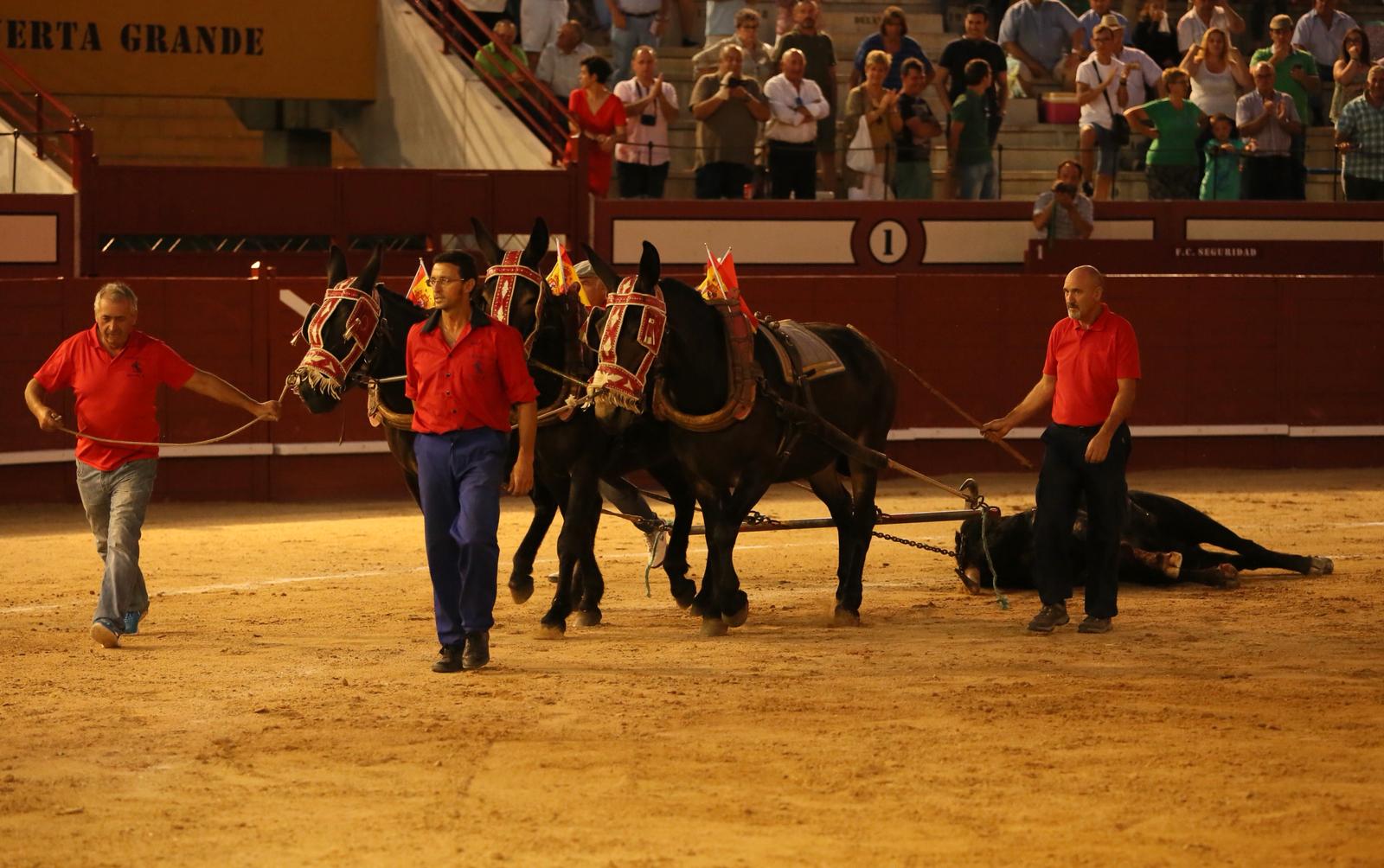 Arévalo, 14 de julio de 2018