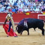 Valencia, 29 de julio de 2018