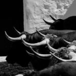 Sorteo, Valencia 29 de julio de 2018