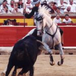 Momento en que Roncal recibe la cornada que lo aparta de los rueos