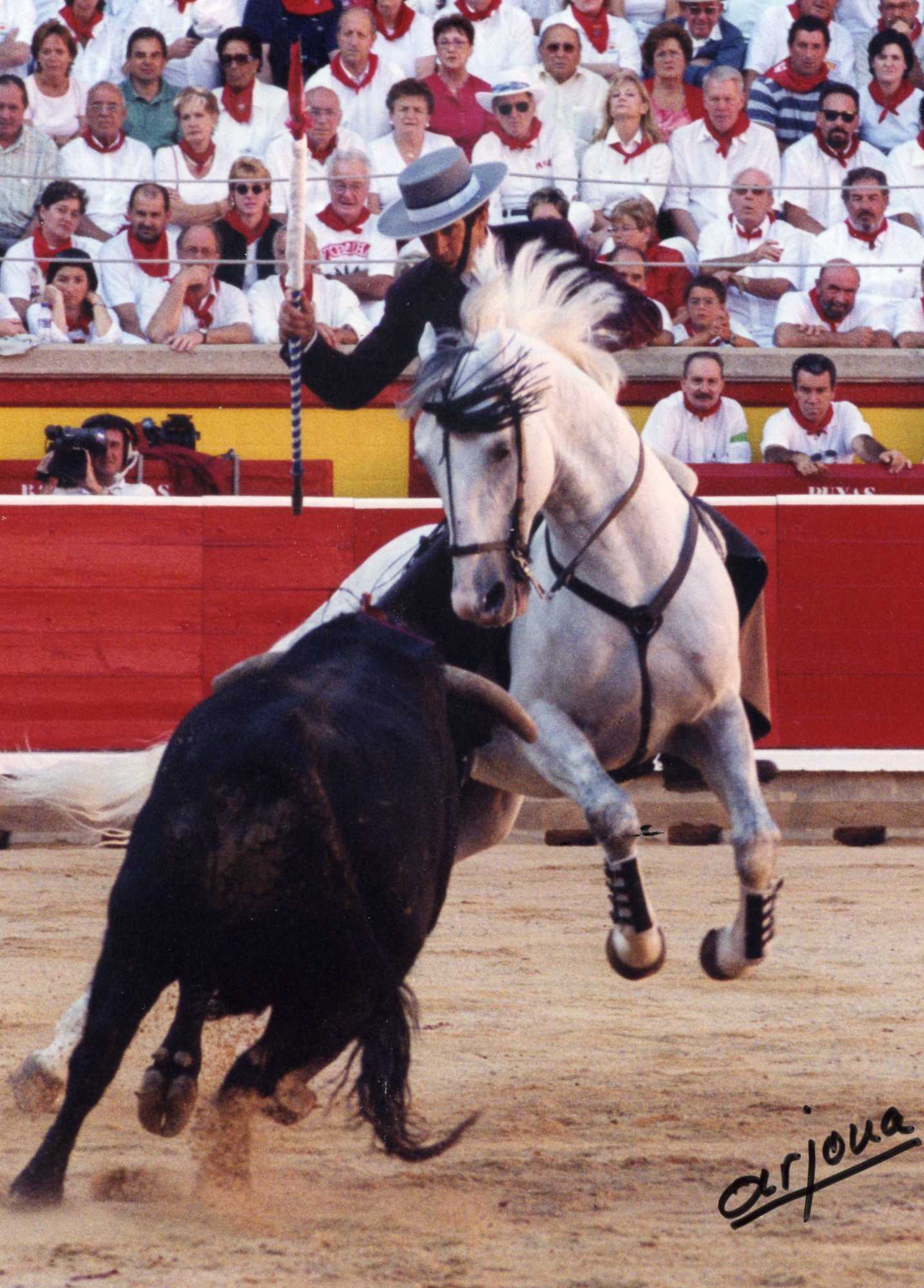 Momento en que Roncal recibe la cornada que lo aparta de los rueos