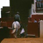 Roncal y Pablo Hermoso de Mendoza salen de los ruedos después de que el caballo reciba la cornada