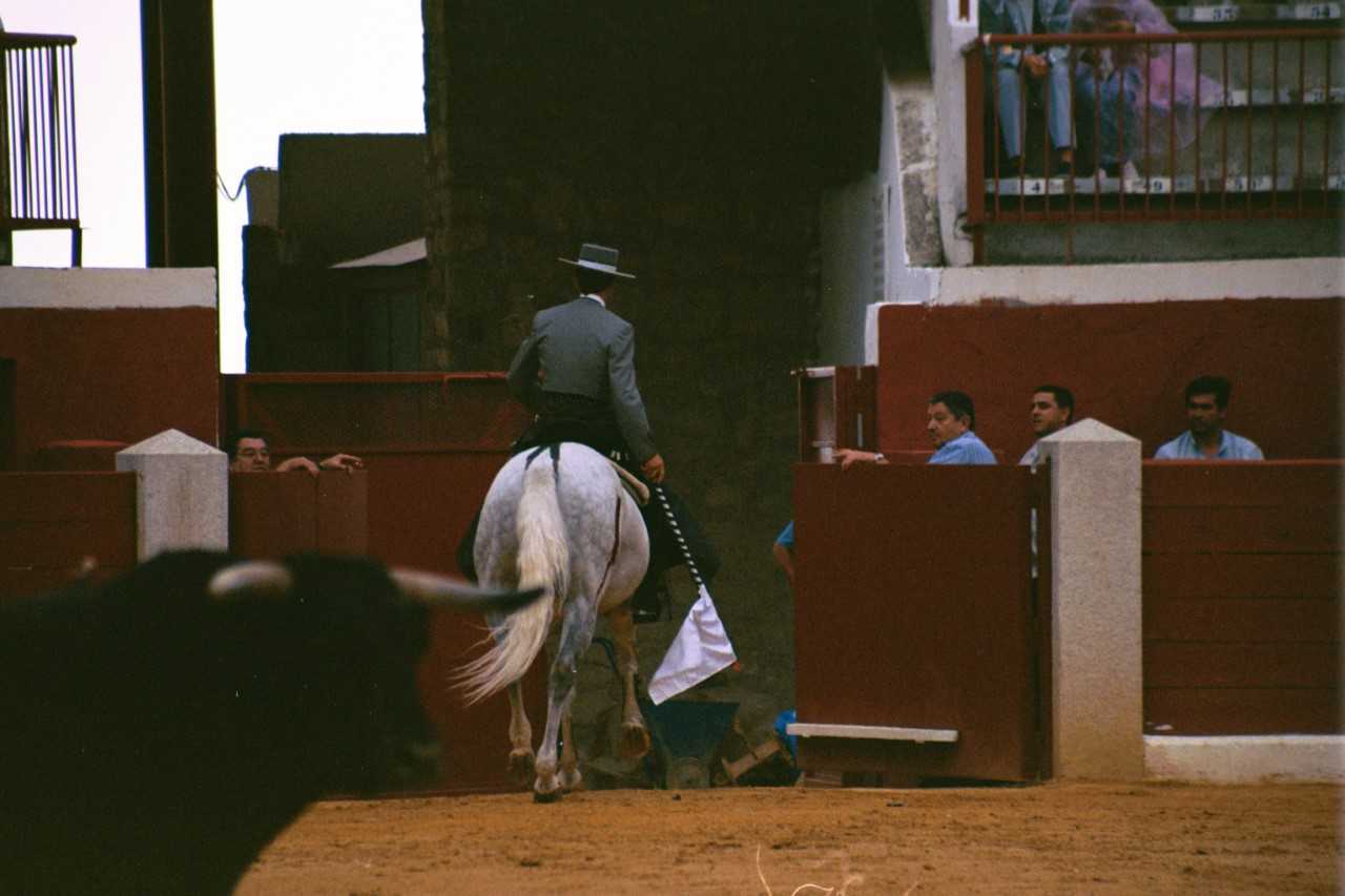 Roncal y Pablo Hermoso de Mendoza salen de los ruedos después de que el caballo reciba la cornada