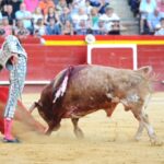 Valencia, 29 de julio de 2018