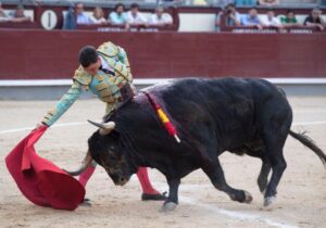 Madrid, 24 de junio de 2018