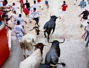 Segundo encierro Pamplona, 8 de julio de 2018