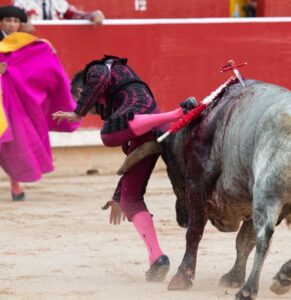 Pamplona - Corrida de toros - Domingo 8 de julio de 2018