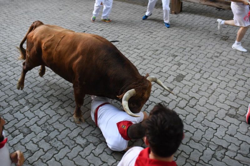 Limpio y veloz encierro con los “cebadas” en Pamplona